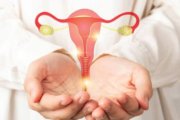 Illustration of sperm approaching an egg above a uterus, representing fertility